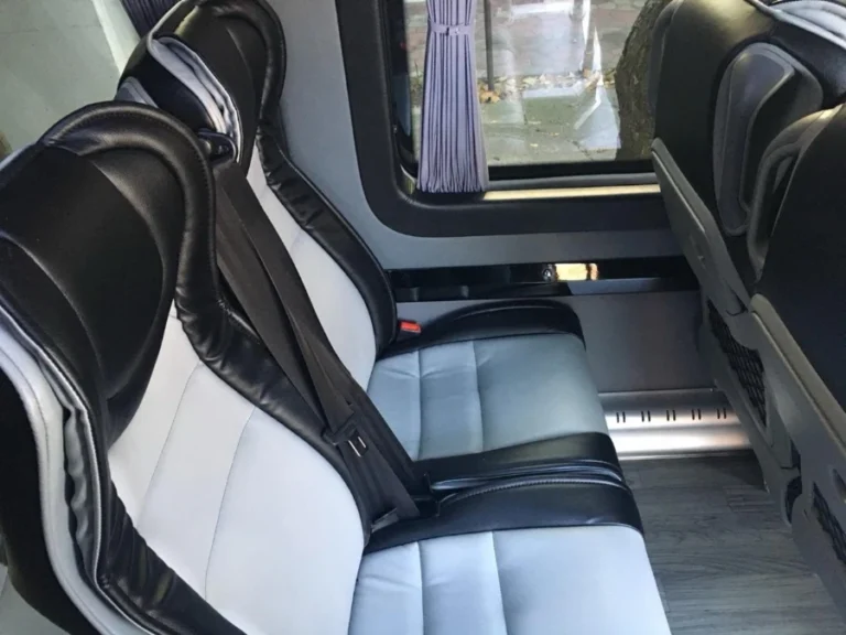 prevoz putnika beograd minibus